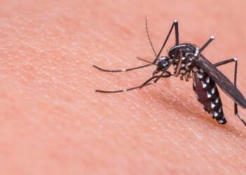 Llaman la atención de 12 municipios tolimenses por las acciones para enfrentar el dengue en Ibagué y el Tolima que no han servido