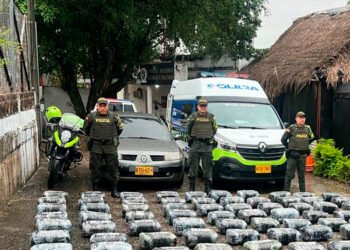 Cayó cargamento de más de 400 kilos de marihuana en el Tolima 