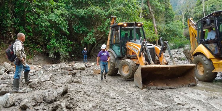 Trabaja la maquinaria amarilla destapando vías