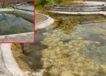 Polideportivo Maracaná es un foco de zancudos y Dengue Hemorrágico