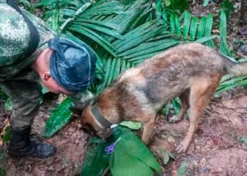 “Están a salvo”, Directora del ICBF afirma tener información del paradero de los niños perdidos en la selva