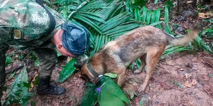 “Están a salvo”, Directora del ICBF afirma tener información del paradero de los niños perdidos en la selva