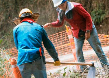 El Jardín urbano se sembrará en la Pedro Tafur