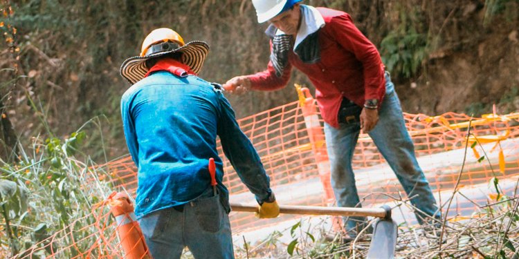 El Jardín urbano se sembrará en la Pedro Tafur