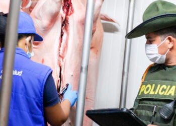 Carne no apta para la venta fue incautada en la Plaza de la 28 