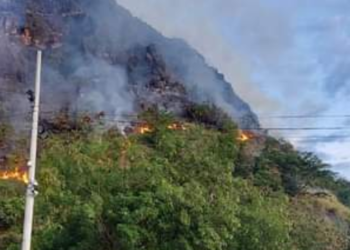 ¡Pilas! En junio comenzaría a manifestarse el Fenómeno del Niño, según los pronósticos climatológicos 