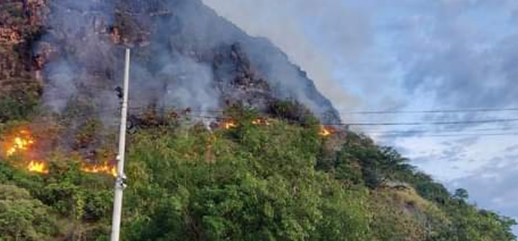 ¡Pilas! En junio comenzaría a manifestarse el Fenómeno del Niño, según los pronósticos climatológicos
