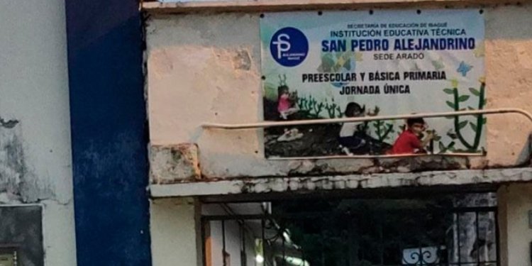Colegio de Ibagué pide ayuda para que le solucionen el problema del predio