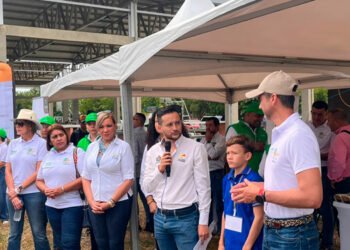 Se sembrarán 14.000 nuevos árboles en todo el departamento del Tolima