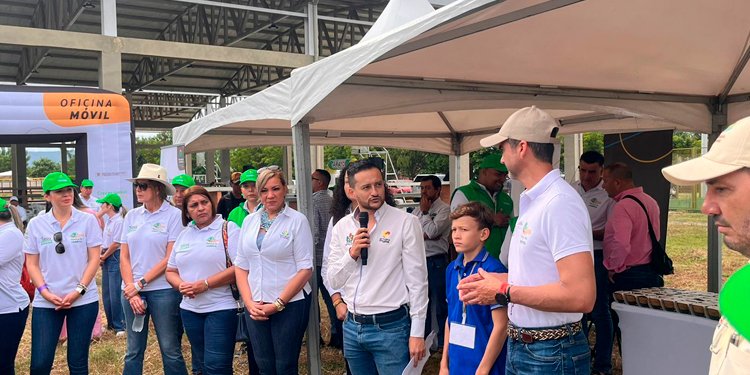 Se sembrarán 14.000 nuevos árboles en todo el departamento del Tolima