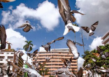 La Pobreza Multidimensional en el departamento alcanzó la cifra más baja de los últimos 10 años 