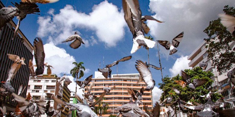 La Pobreza Multidimensional en el departamento alcanzó la cifra más baja de los últimos 10 años