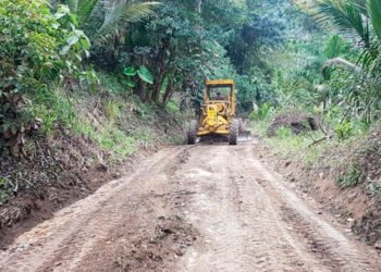 Adjudicada licitación para mejoramiento de la vía Líbano – Santa Teresa