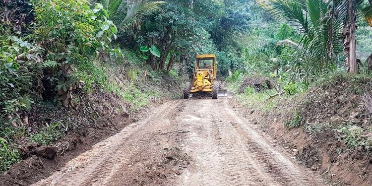 Adjudicada licitación para mejoramiento de la vía Líbano – Santa Teresa