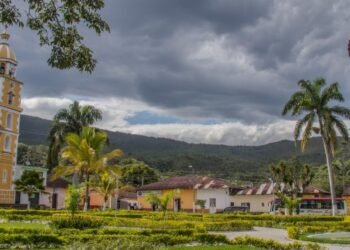 Un hombre mató a puños y patadas a un perro en Alpujarra