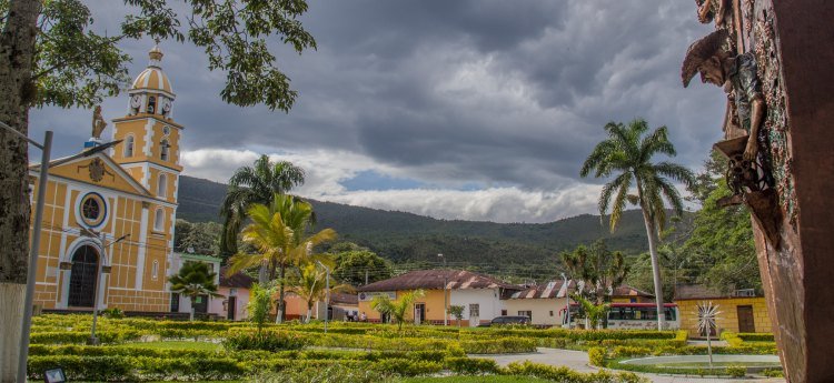 Un hombre mató a puños y patadas a un perro en Alpujarra