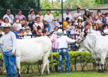 Llega la Feria Bovina en el San pedro ibaguereño