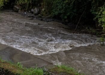 IBAL confirma el restablecimiento del servicio de agua