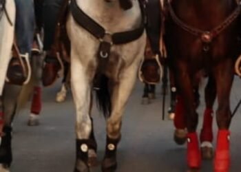 Ministerio público pide a la Alcaldía que cumpla la suspensión de la Cabalgata sanjuanera