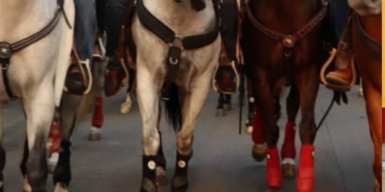 Ministerio público pide a la Alcaldía que cumpla la suspensión de la Cabalgata sanjuanera