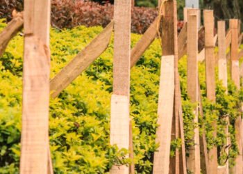 Los jardines de la Quinta serán protegidos en las fiestas