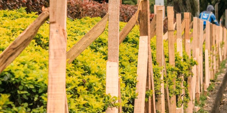 Los jardines de la Quinta serán protegidos en las fiestas