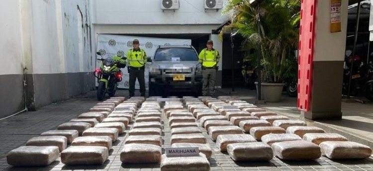 En vías de Melgar, la Policía se incautó cerca de media tonelada de marihuana tipo Creepy