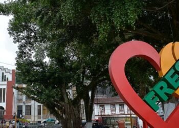 Tragedia en Fresno, un hombre asesinó a su propio hermano que lo atacó con machete