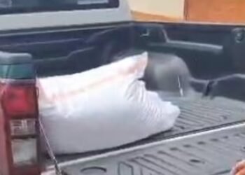 Se robó más de $10 millones en frijol y lo cogieron