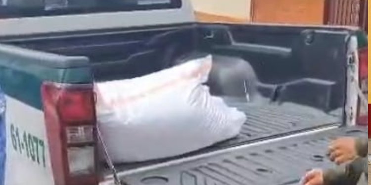 Se robó más de $10 millones en frijol y lo cogieron