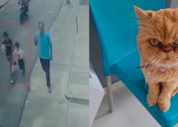 Se robaron a Greta, su familia vive un drama para recuperarla