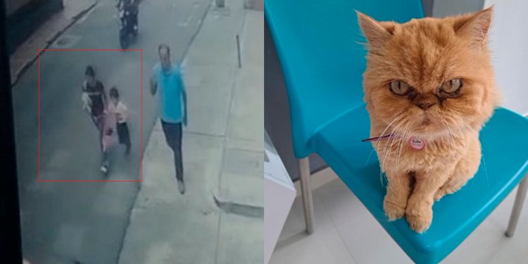 Se robaron a Greta, su familia vive un drama para recuperarla