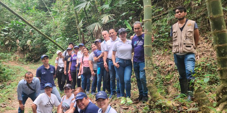 La sostenibilidad ambiental de la ciudad una apuesta del IBAL