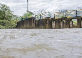 IBAL anuncia normalidad en el servicio en el puente festivo