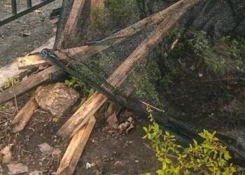 Jardines de ‘La Quinta’, en buen estado tras desfile de San Juan