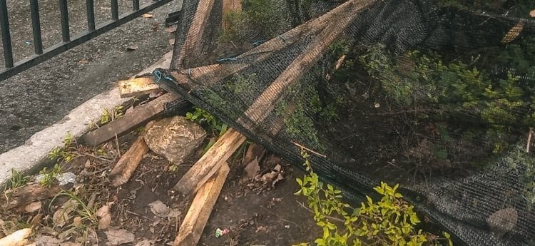 Jardines de ‘La Quinta’, en buen estado tras desfile de San Juan