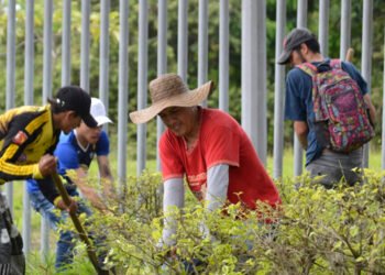 ¡Impecable! Así quedó el Parque Deportivo con la jornada de aseo