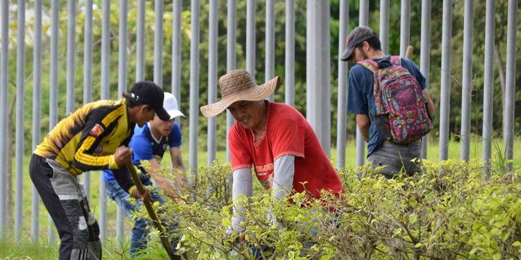 ¡Impecable! Así quedó el Parque Deportivo con la jornada de aseo