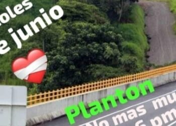 Hoy, gran plantón por la vida en el puente de la variante en Ibagué