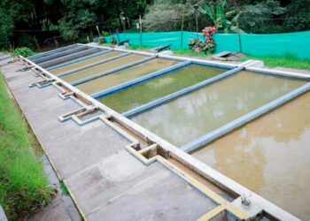 Pronto se normalizará el servicio de agua en Ibagué 