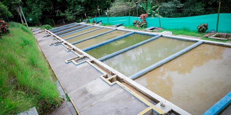 Pronto se normalizará el servicio de agua en Ibagué 