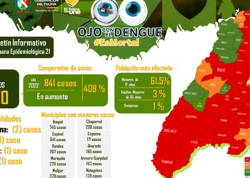 El Tolima implementará “El Día D” y “La Tarea es el Dengue” como estrategias educativas contra el Dengue
