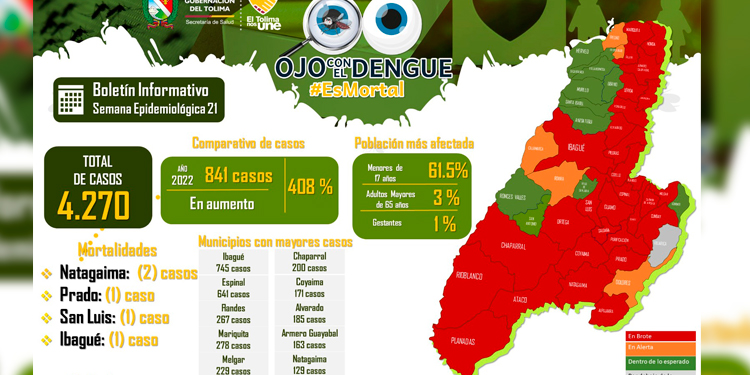 El Tolima implementará “El Día D” y “La Tarea es el Dengue” como estrategias educativas contra el Dengue