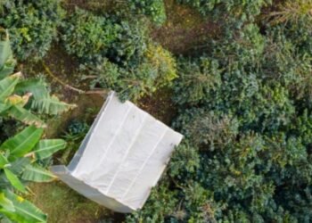 Proyecto de Filtros Verdes de Cortolima tiene un adelanto del 80%