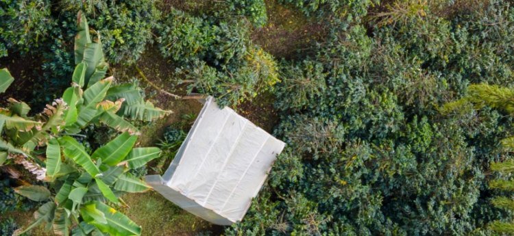 Proyecto de Filtros Verdes de Cortolima tiene un adelanto del 80%