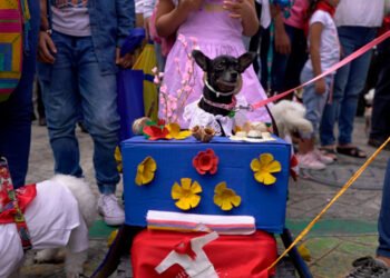 Se viene el segundo desfile folclórico de mascotas