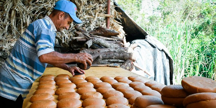 Hornillas paneleras en Mariquita fueron mejoradas por Cortolima para disminuir la contaminación