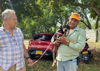 Anímese a adoptar un peludo este fin de semana 