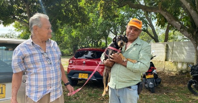 Anímese a adoptar un peludo este fin de semana 