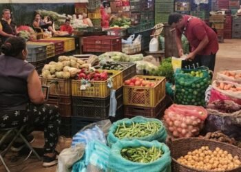 En jaque el sector agrícola de Ibagué por plan tortuga de por parte del gremio de transportadores públicos